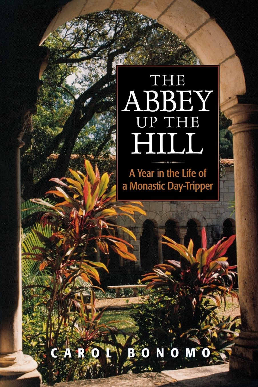 The Abbey up the Hill