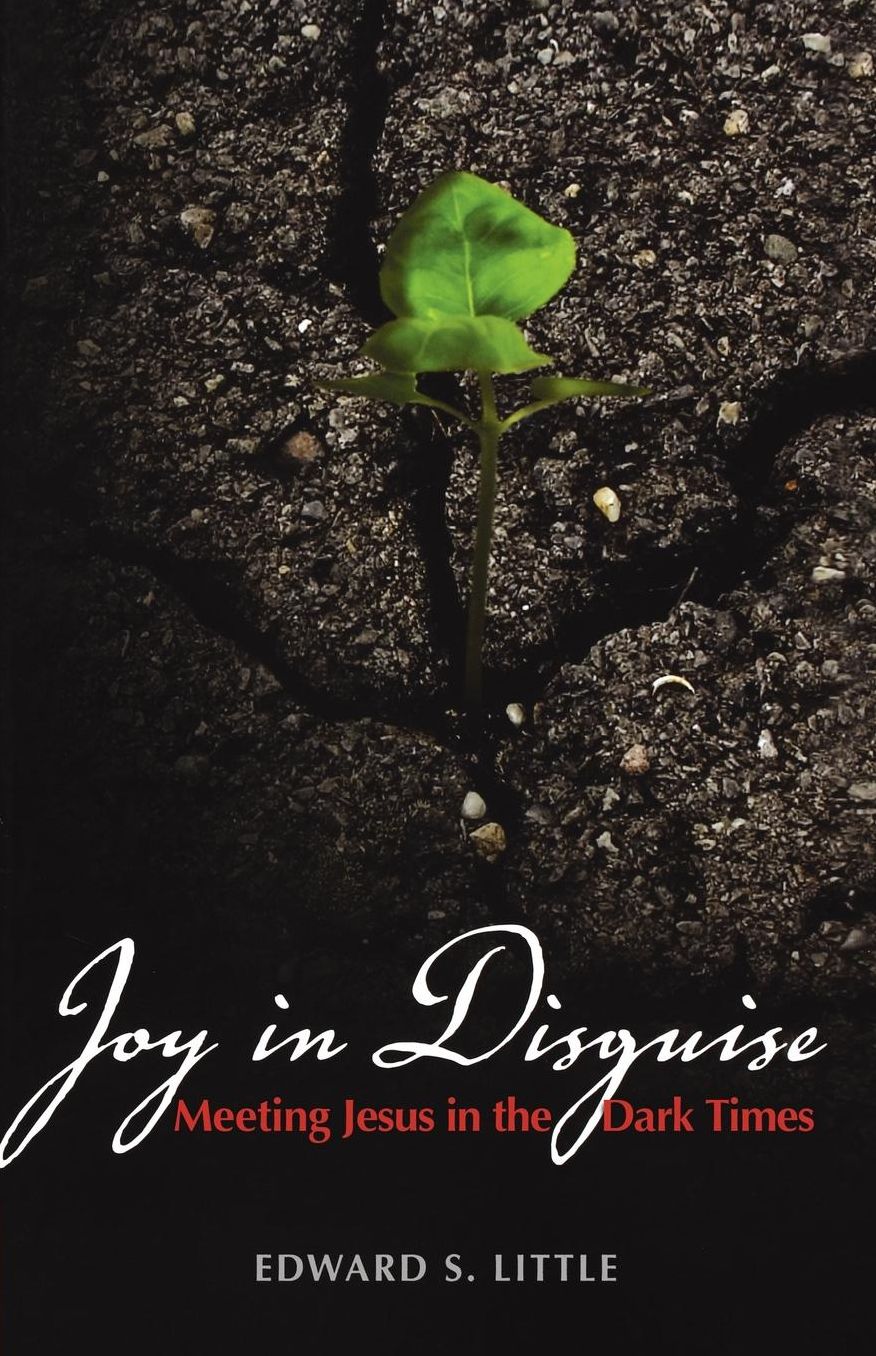 Joy in Disguise: Meeting Jesus in the Dark Times