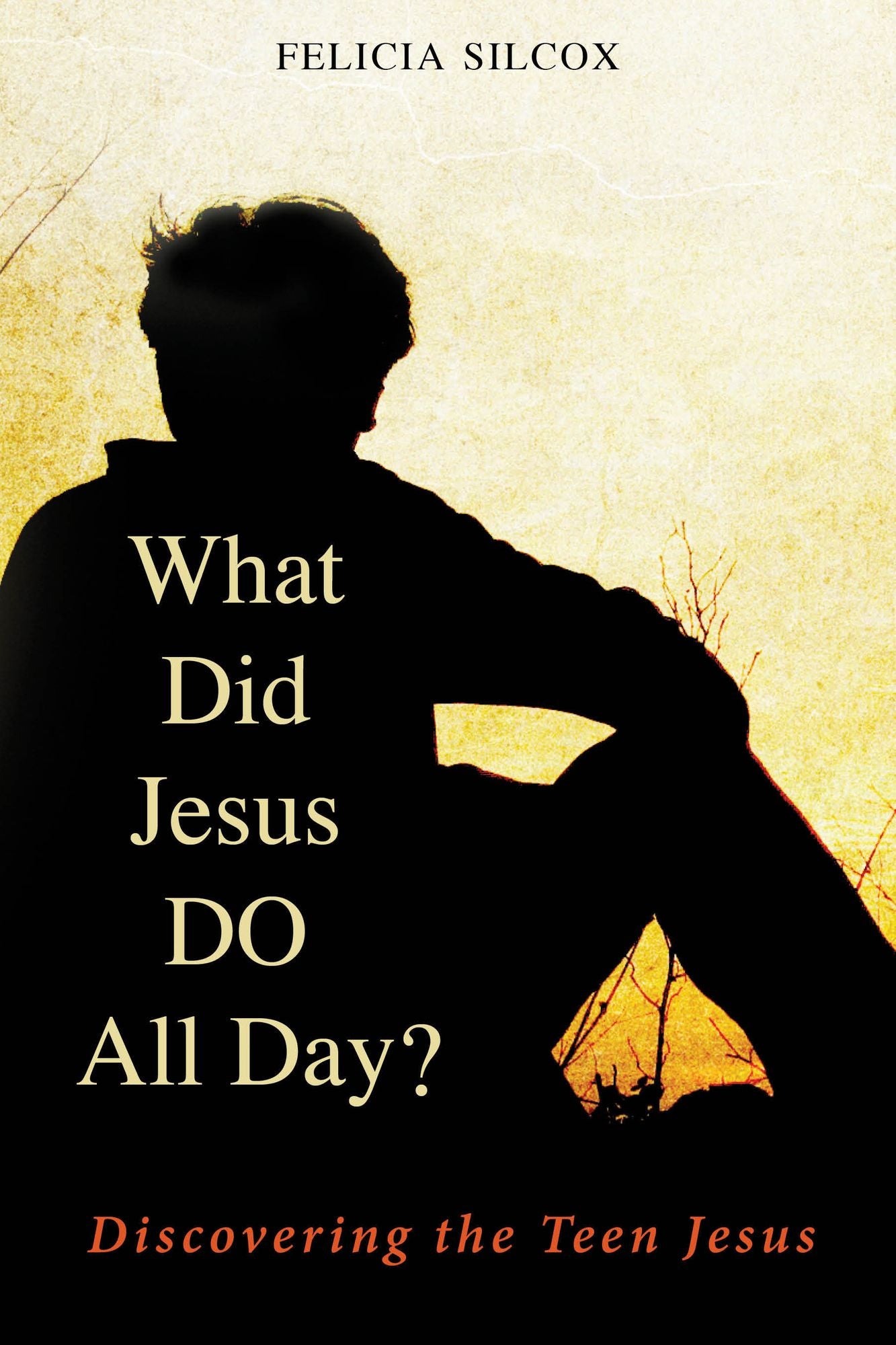 What Did Jesus DO All Day?