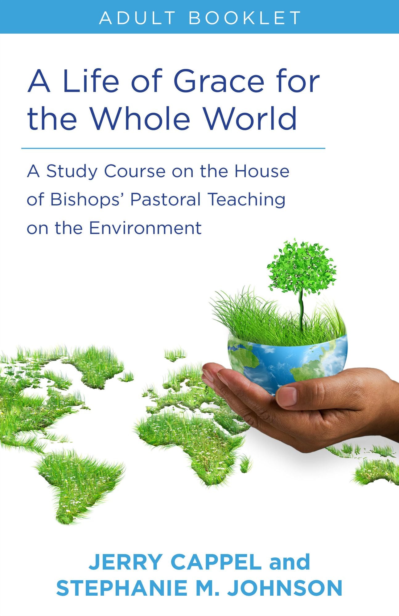A Life of Grace for the Whole World, Adult book