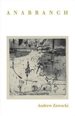 Anabranch