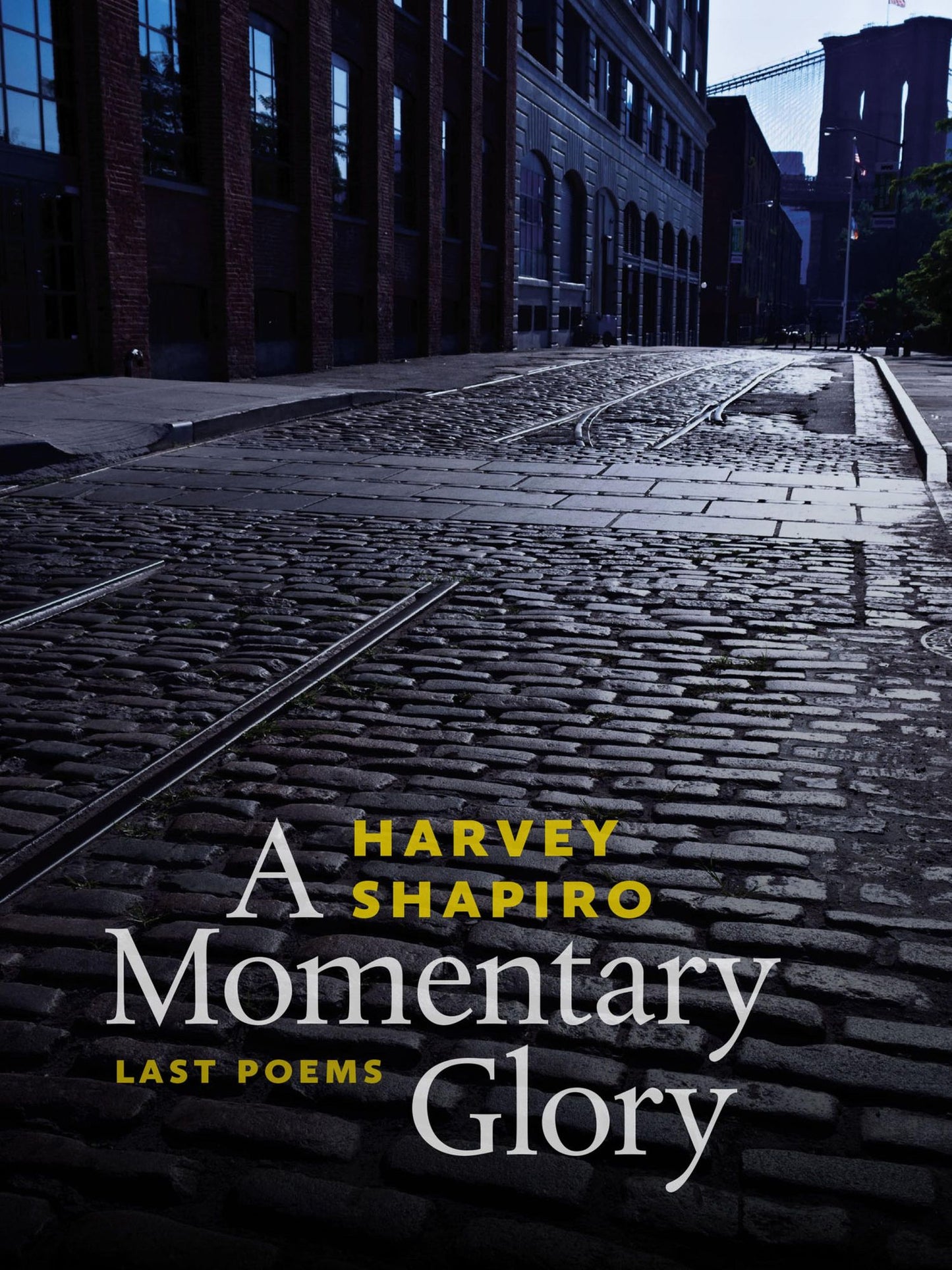 A Momentary Glory: Last Poems
