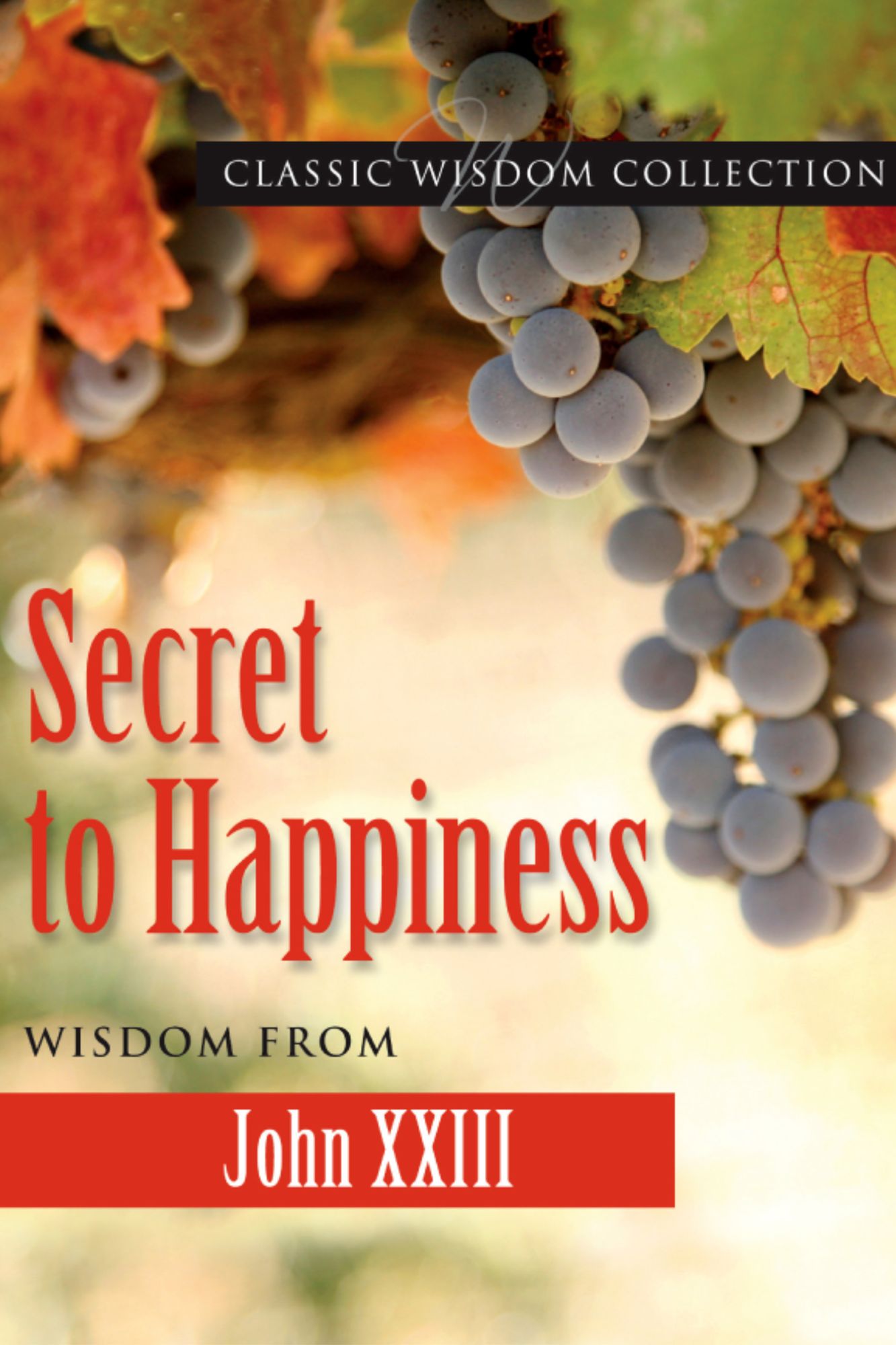 Secret to Happiness: Wisdom from John XXIII