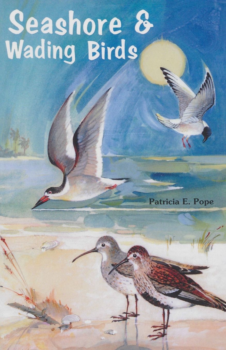 Seashore and Wading Birds of Florida