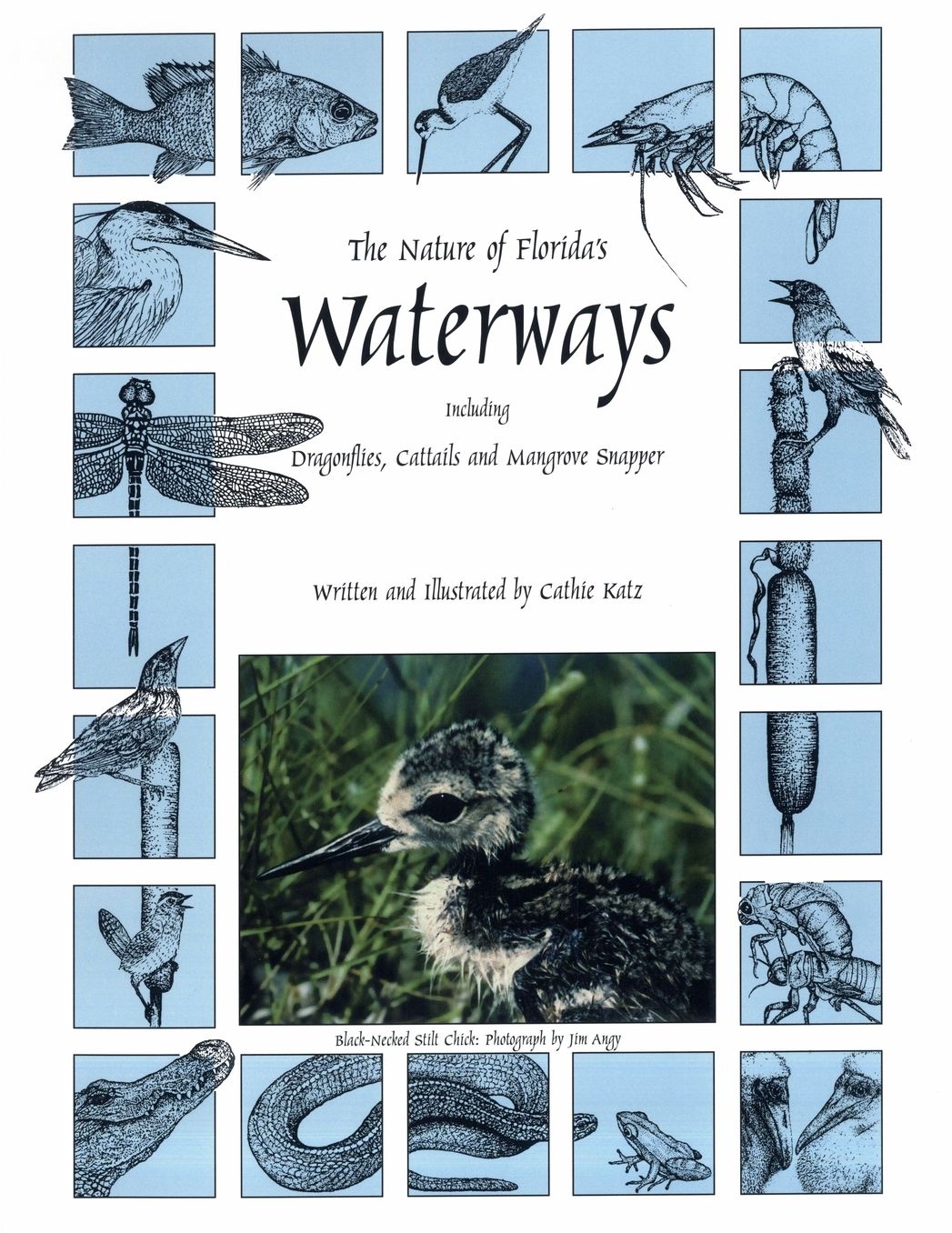 Nature of Florida's Waterways Including Dragonflies, Cattails and Mangrove Snapper