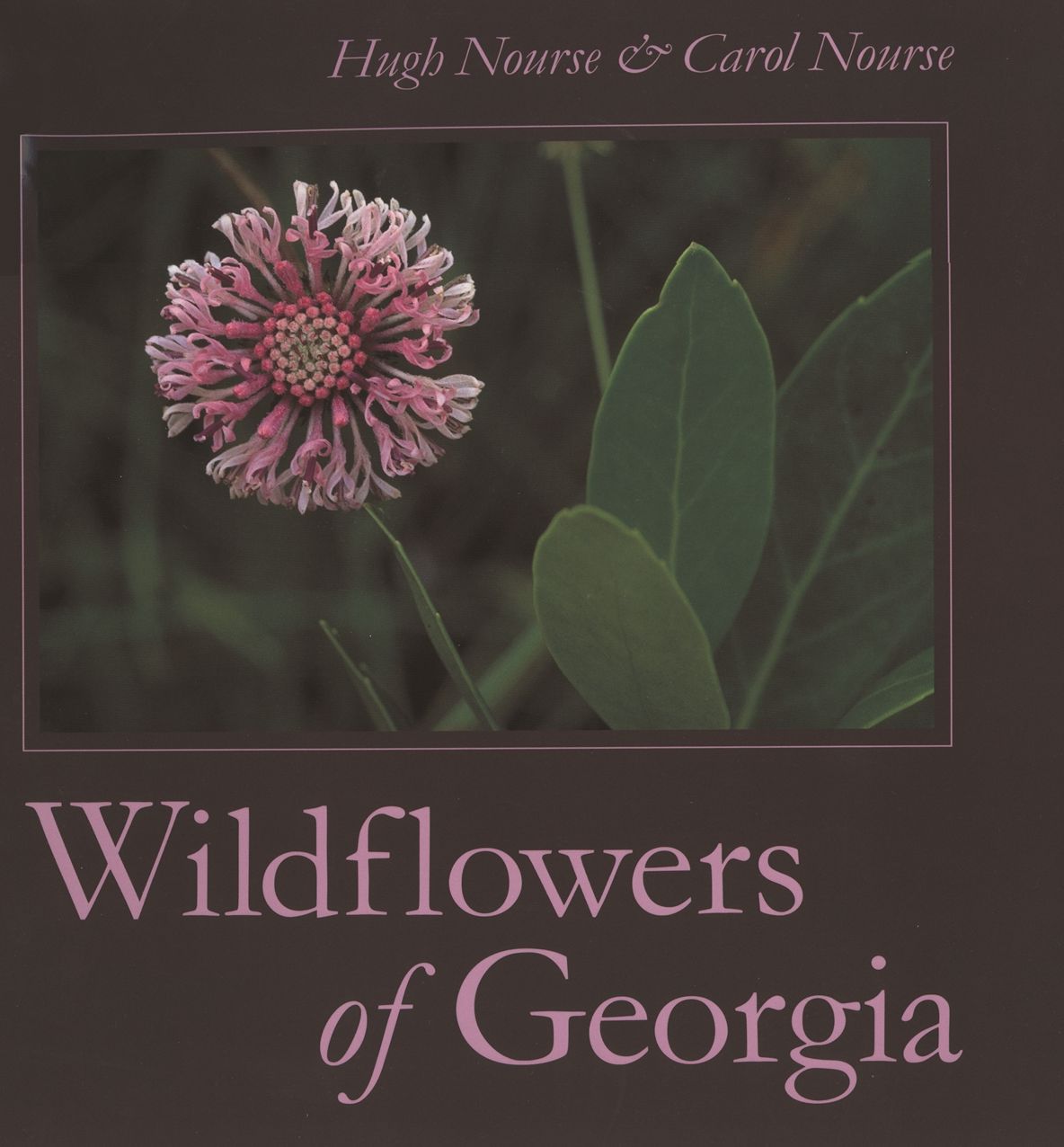 Wildflowers of Georgia: A Photographic Celebration of Their Beauty and Diversity