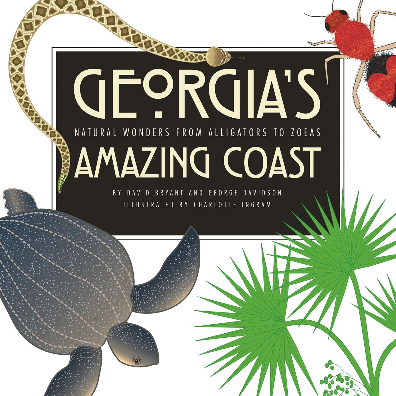Georgia's Amazing Coast: Natural Wonders from Alligators to Zoeas