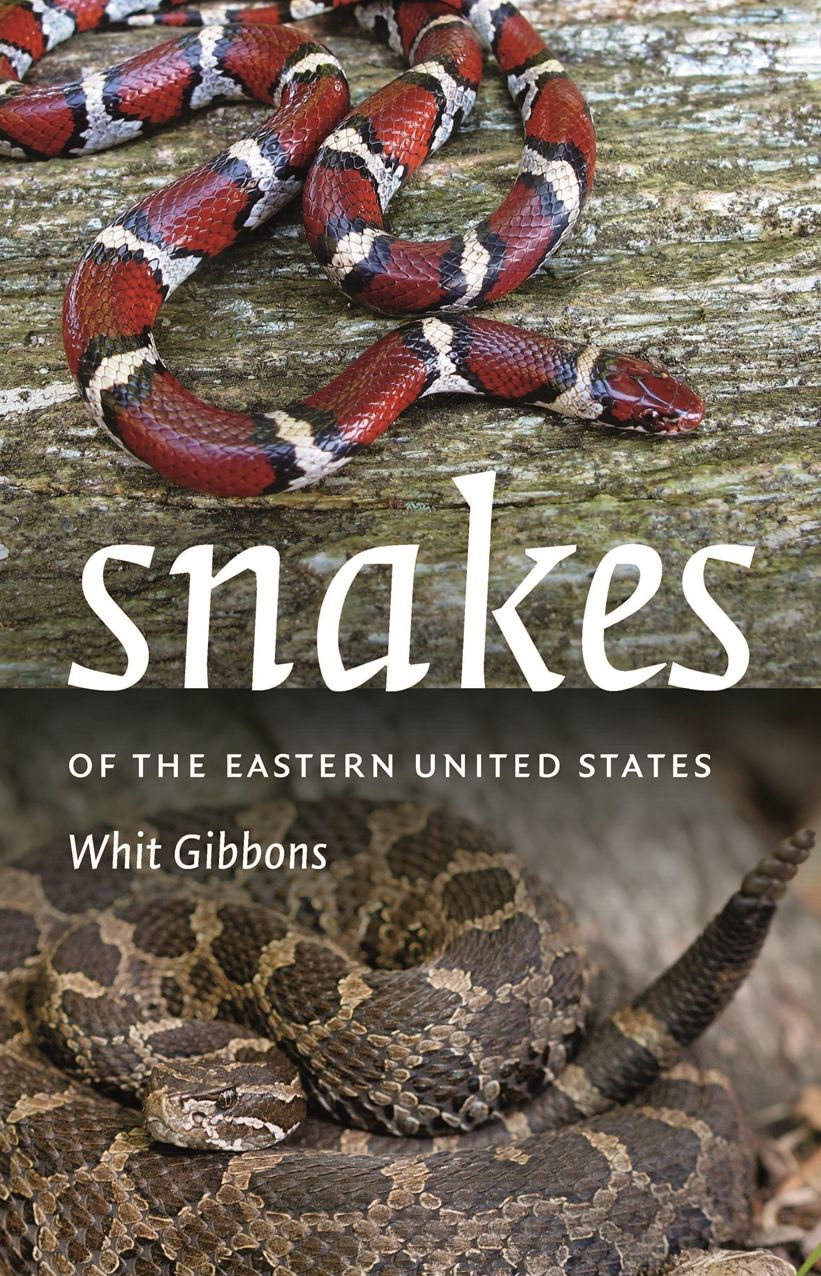 Snakes of the Eastern United States