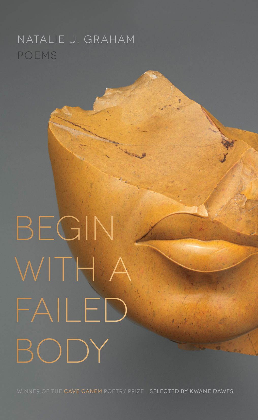 Begin with a Failed Body: Poems