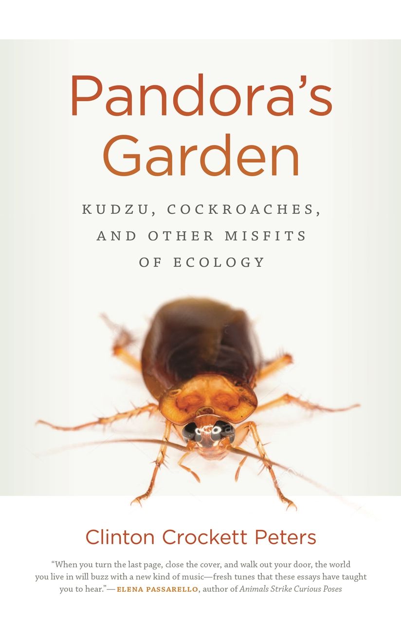 Pandora's Garden: Kudzu, Cockroaches, and Other Misfits of Ecology