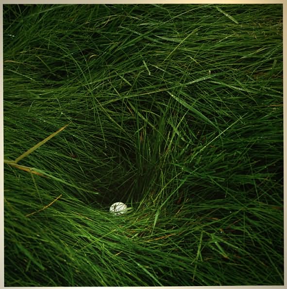 Lost Balls: Great Holes, Tough Shots, and Bad Lies