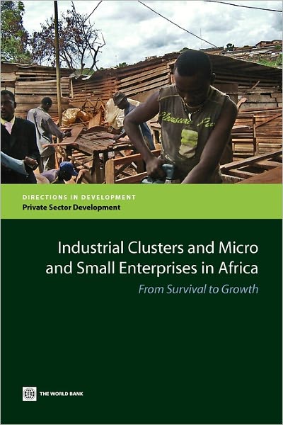 Industrial Clusters and Micro and Small Enterprises in Africa: From Survival to Growth