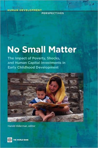 No Small Matter: The Impact of Poverty, Shocks, and Human Capital Investments in Early Childhood Development