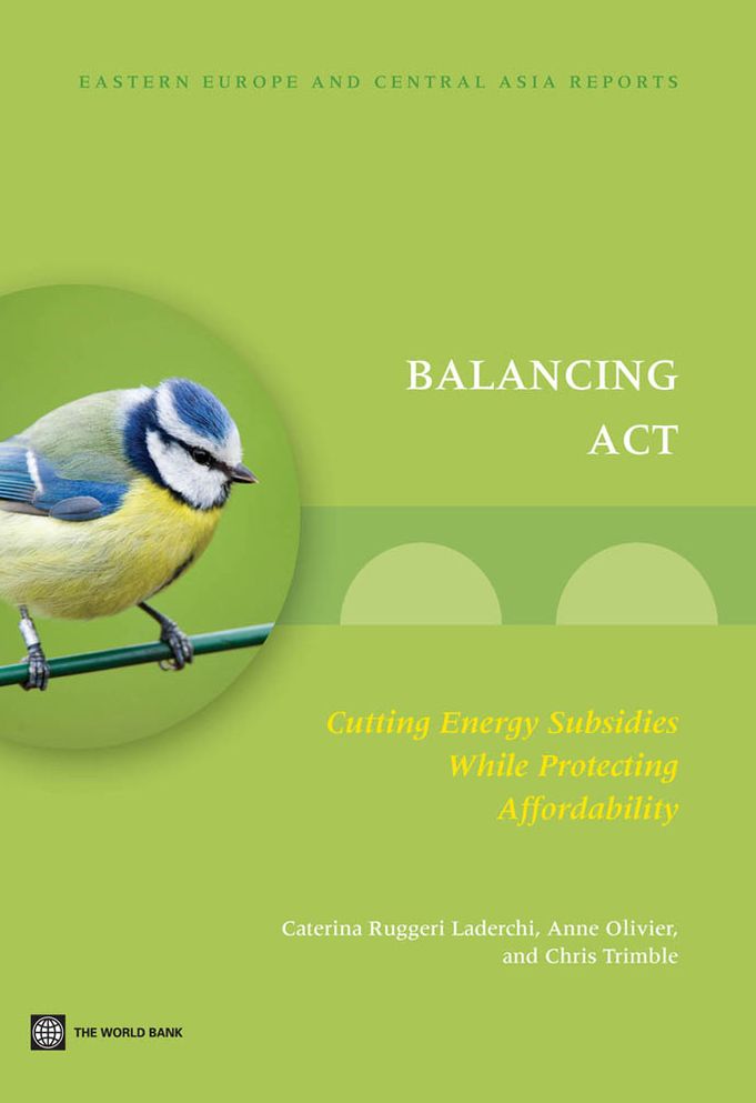 Balancing Act: Cutting Energy Subsidies while Protecting Affordability