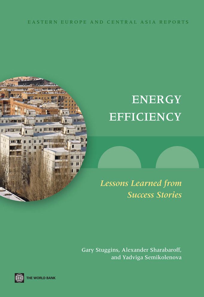 Energy Efficiency: Lessons Learned from Success Stories