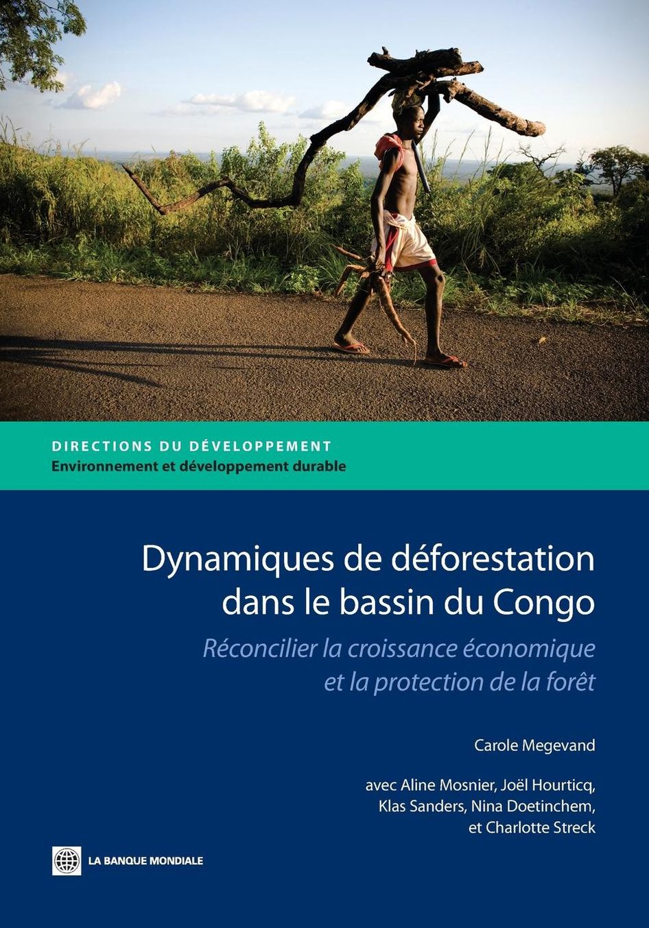 Dynamiques de d?forestation dans le basin du Congo: R?concilier la croissance ?conomique et la protection de la for?t