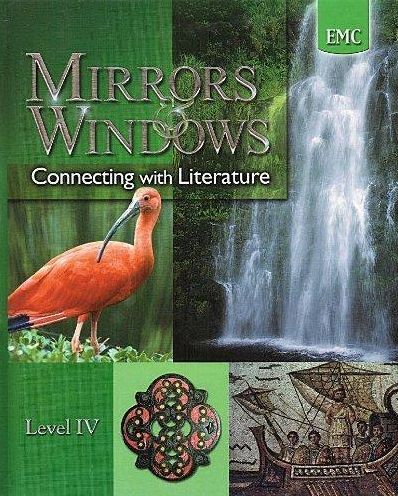 Mirrors and Windows Level IV