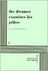 The Dreamer Examines His Pillow