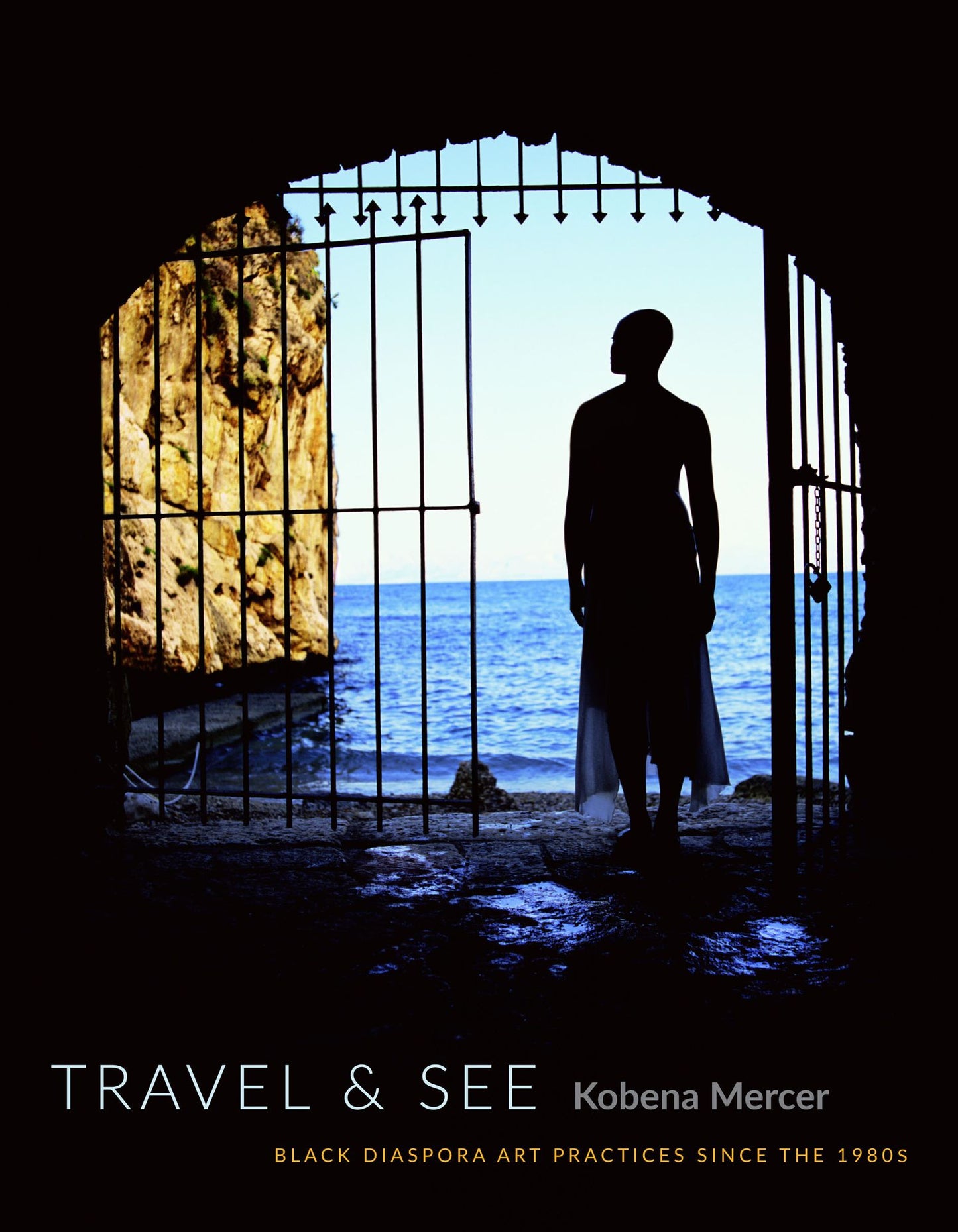 Travel & See: Black Diaspora Art Practices Since the 1980s