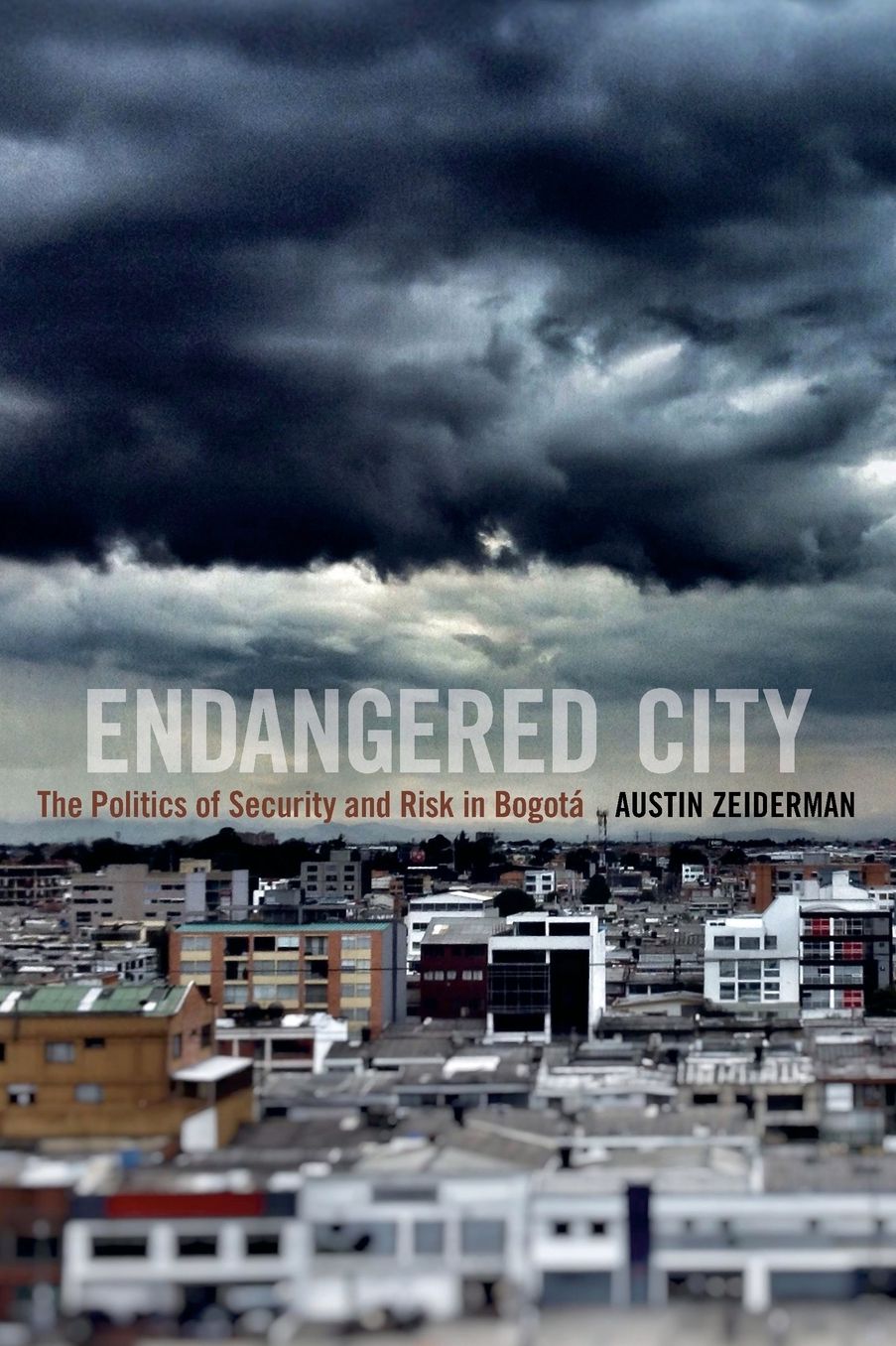 Endangered City: The Politics of Security and Risk in Bogota