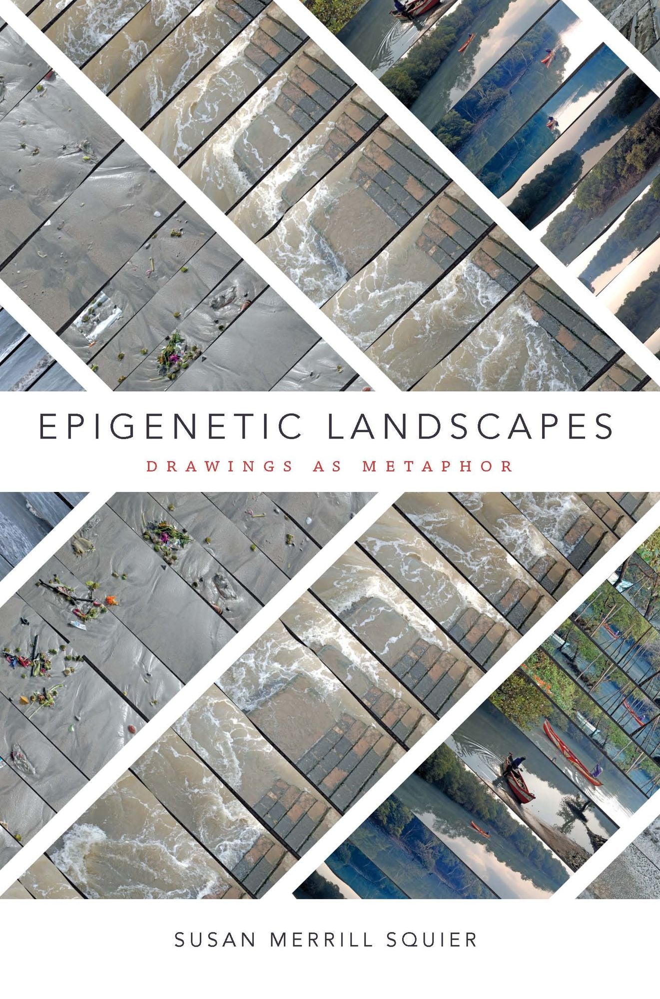 TEST1 Epigenetic Landscapes: Drawings as Metaphor