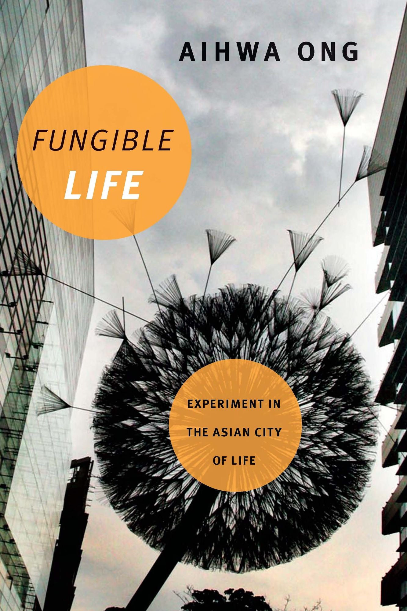 TEST1 Fungible Life: Experiment in the Asian City of Life
