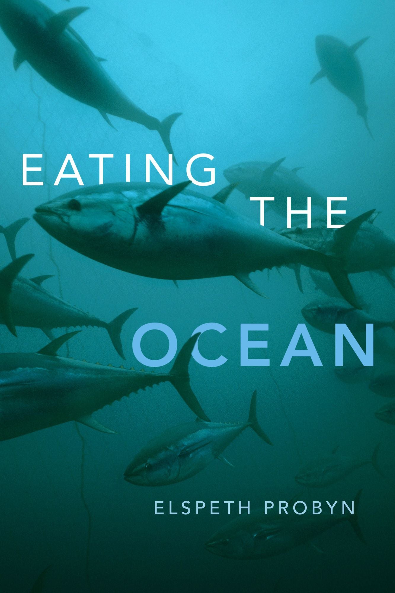TEST1 Eating the Ocean