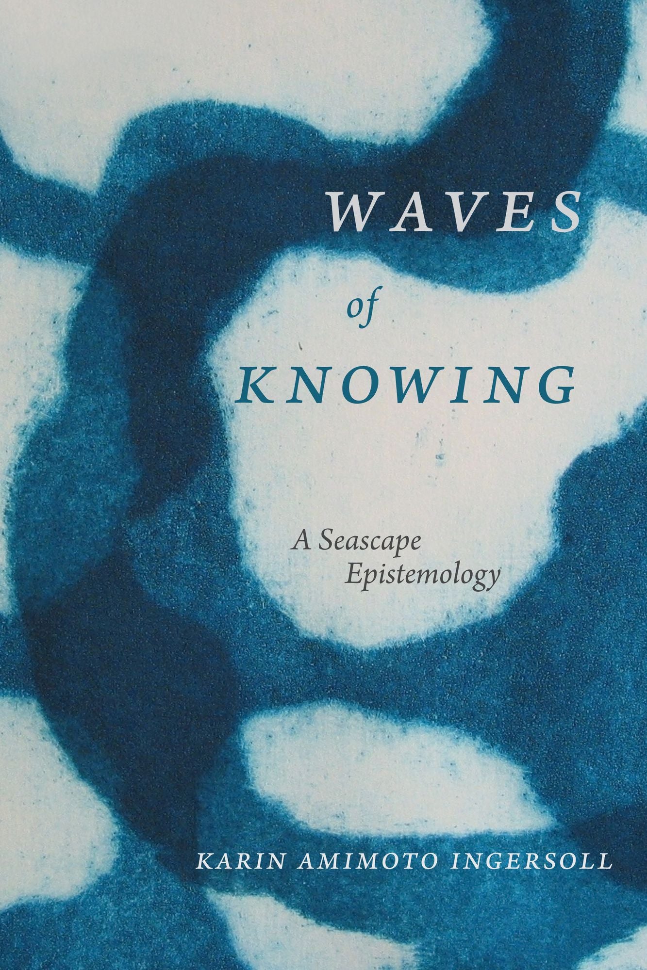TEST1 Waves of Knowing: A Seascape Epistemology