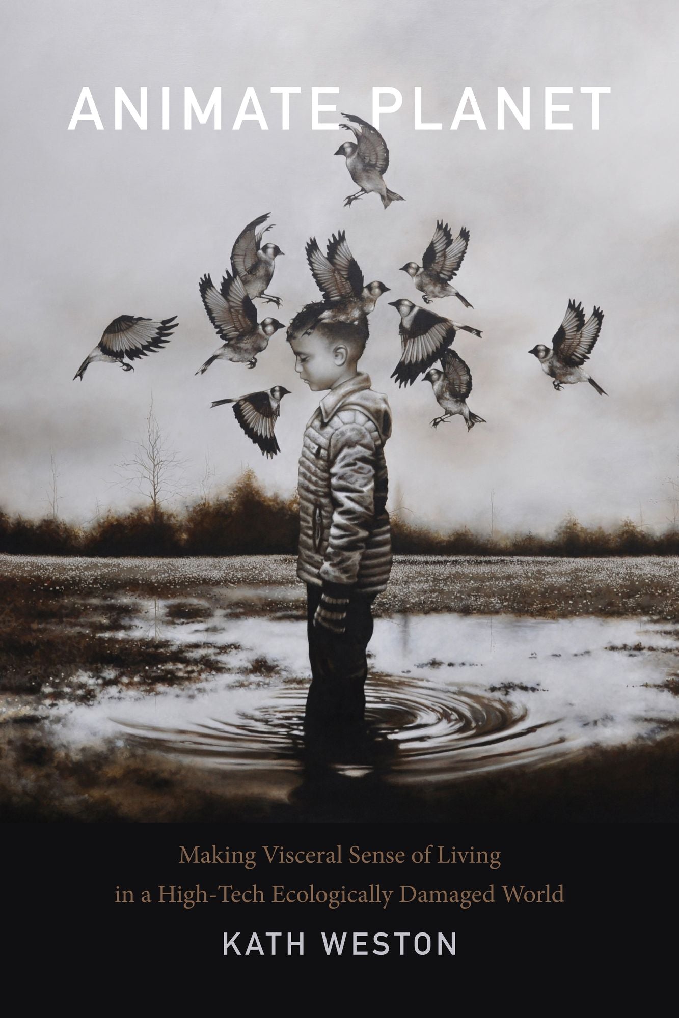 TEST1 Animate Planet: Making Visceral Sense of Living in a High-Tech Ecologically Damaged World