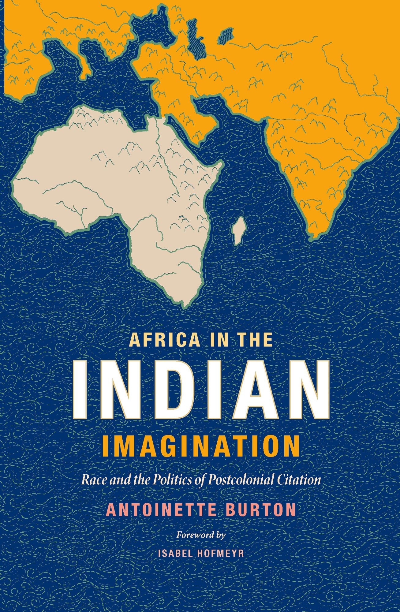 TEST1 Africa in the Indian Imagination: Race and the Politics of Postcolonial Citation