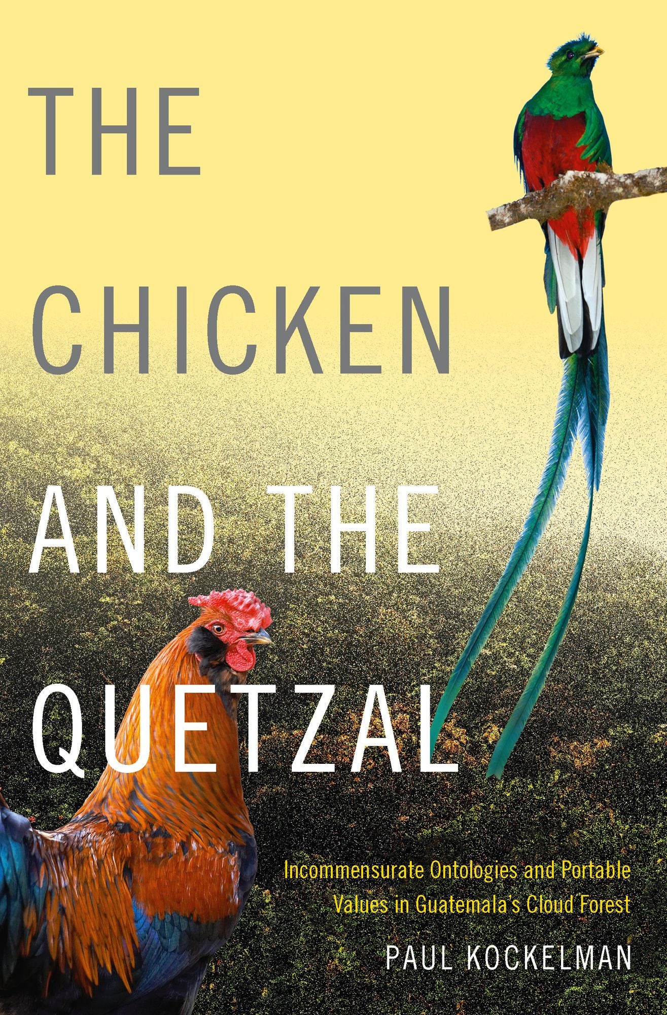 TEST1 The Chicken and the Quetzal: Incommensurate Ontologies and Portable Values in Guatemala's Cloud Forest