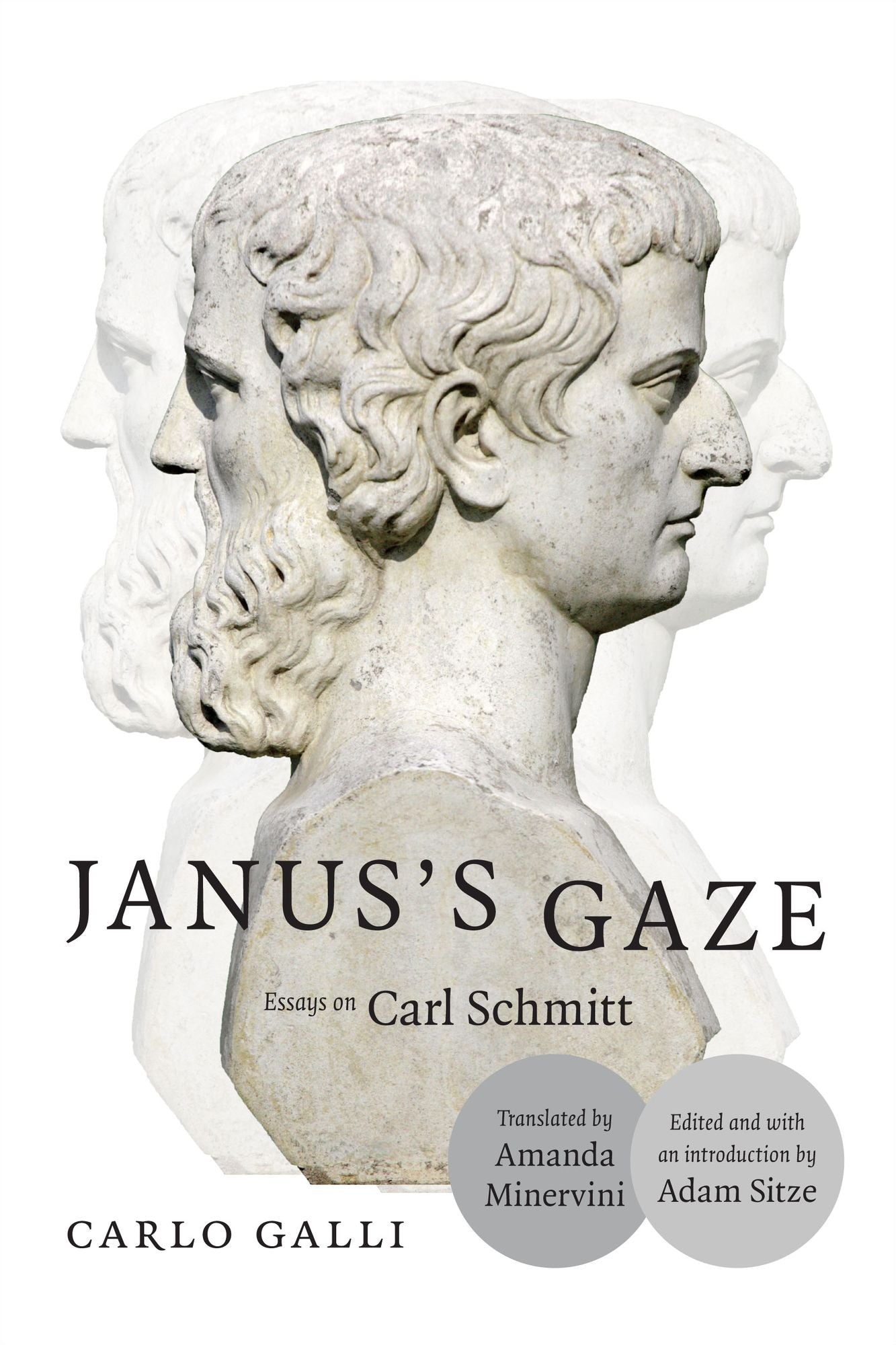 TEST1 Janus's Gaze: Essays on Carl Schmitt