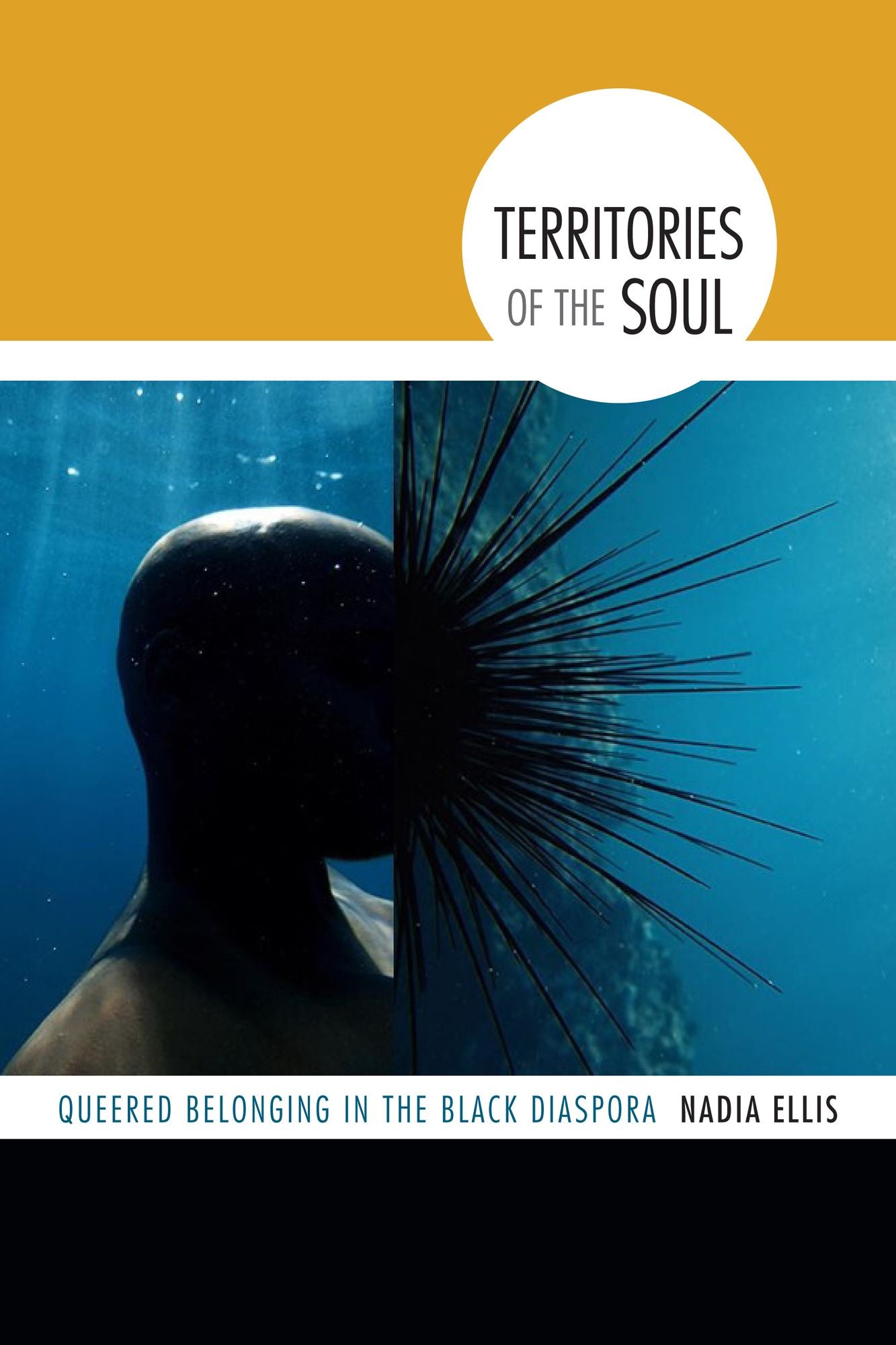 TEST1 Territories of the Soul: Queered Belonging in the Black Diaspora