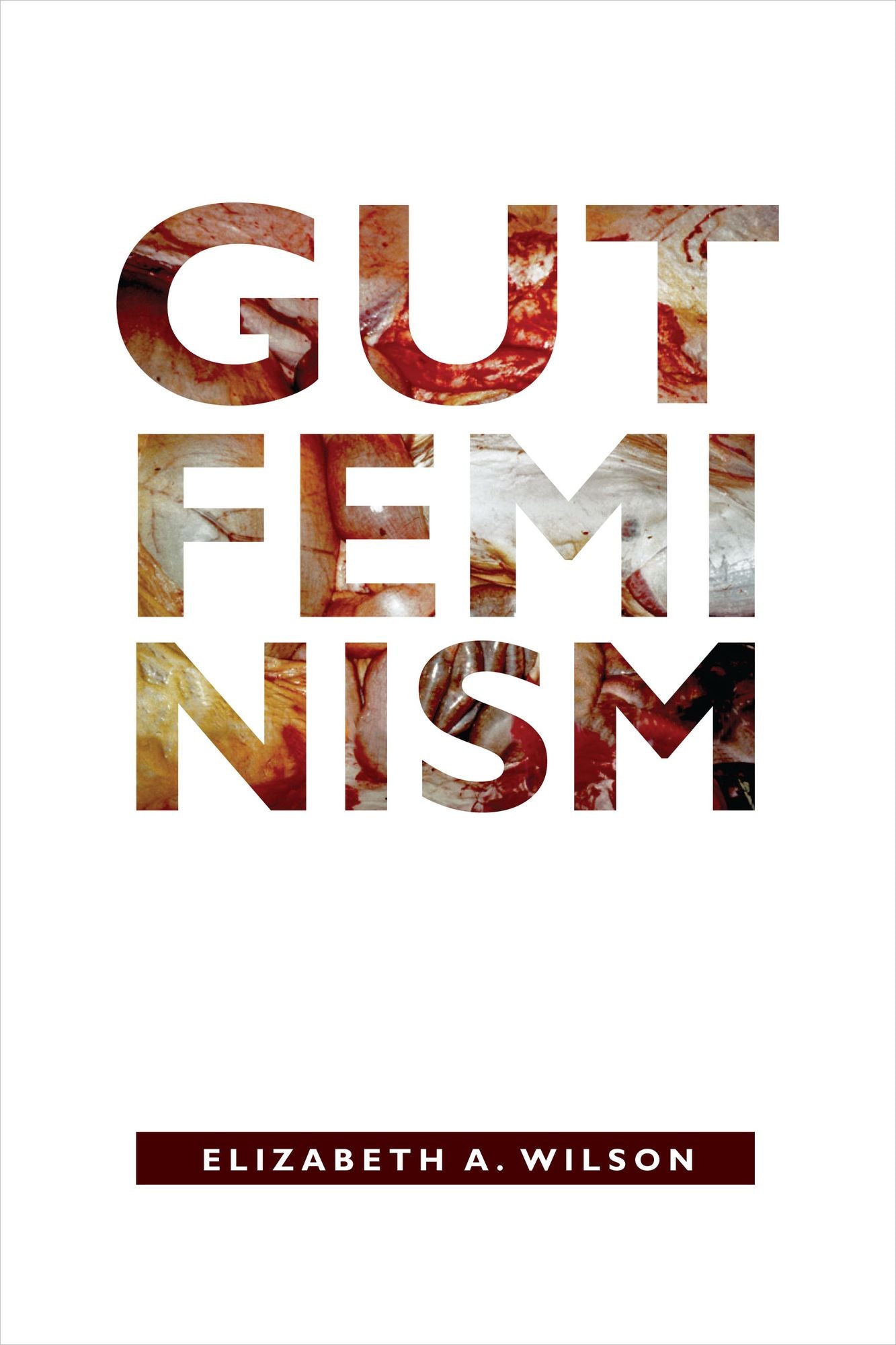 TEST1 Gut Feminism