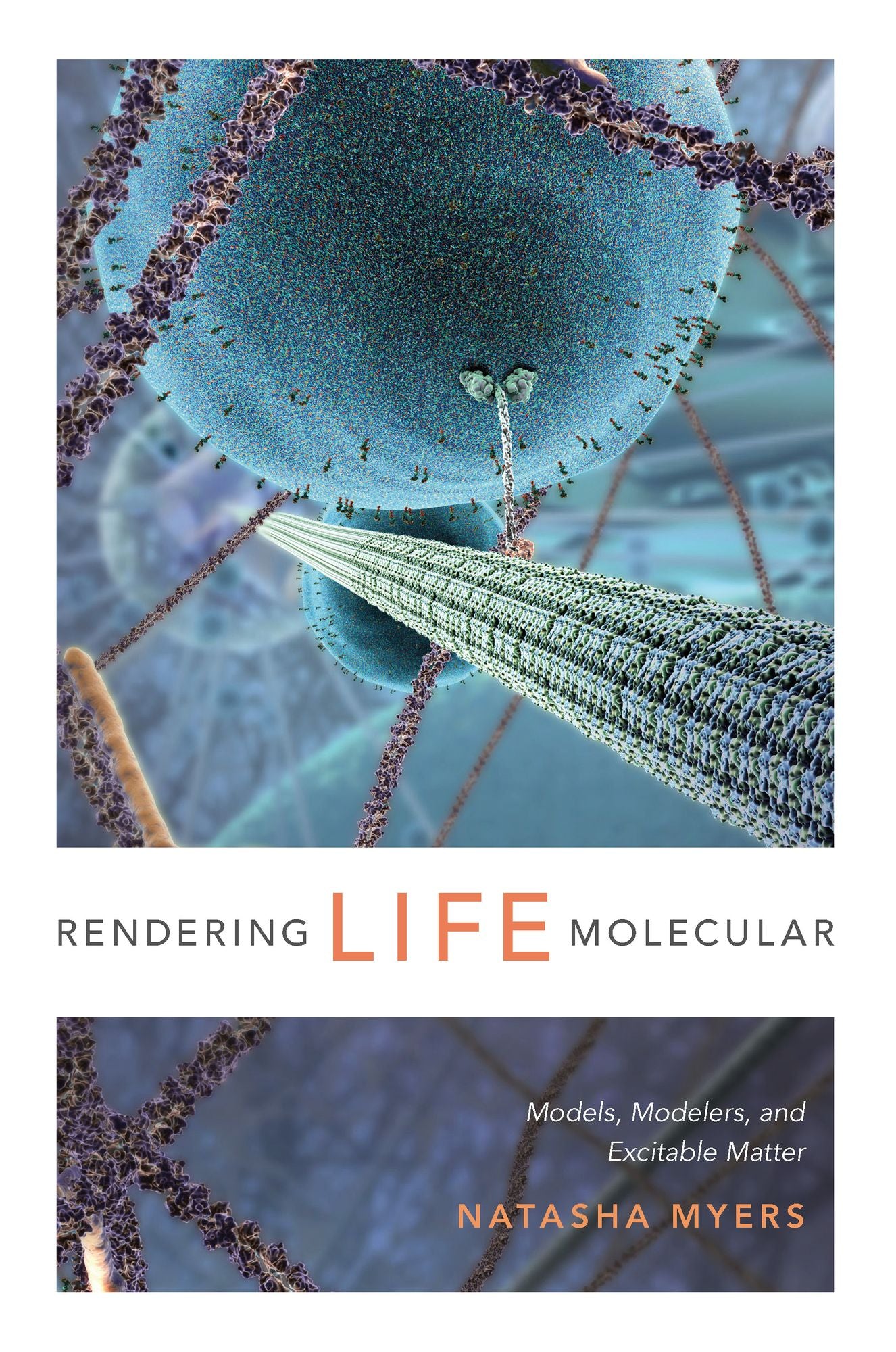 Rendering Life Molecular: Models, Modelers, and Excitable Matter