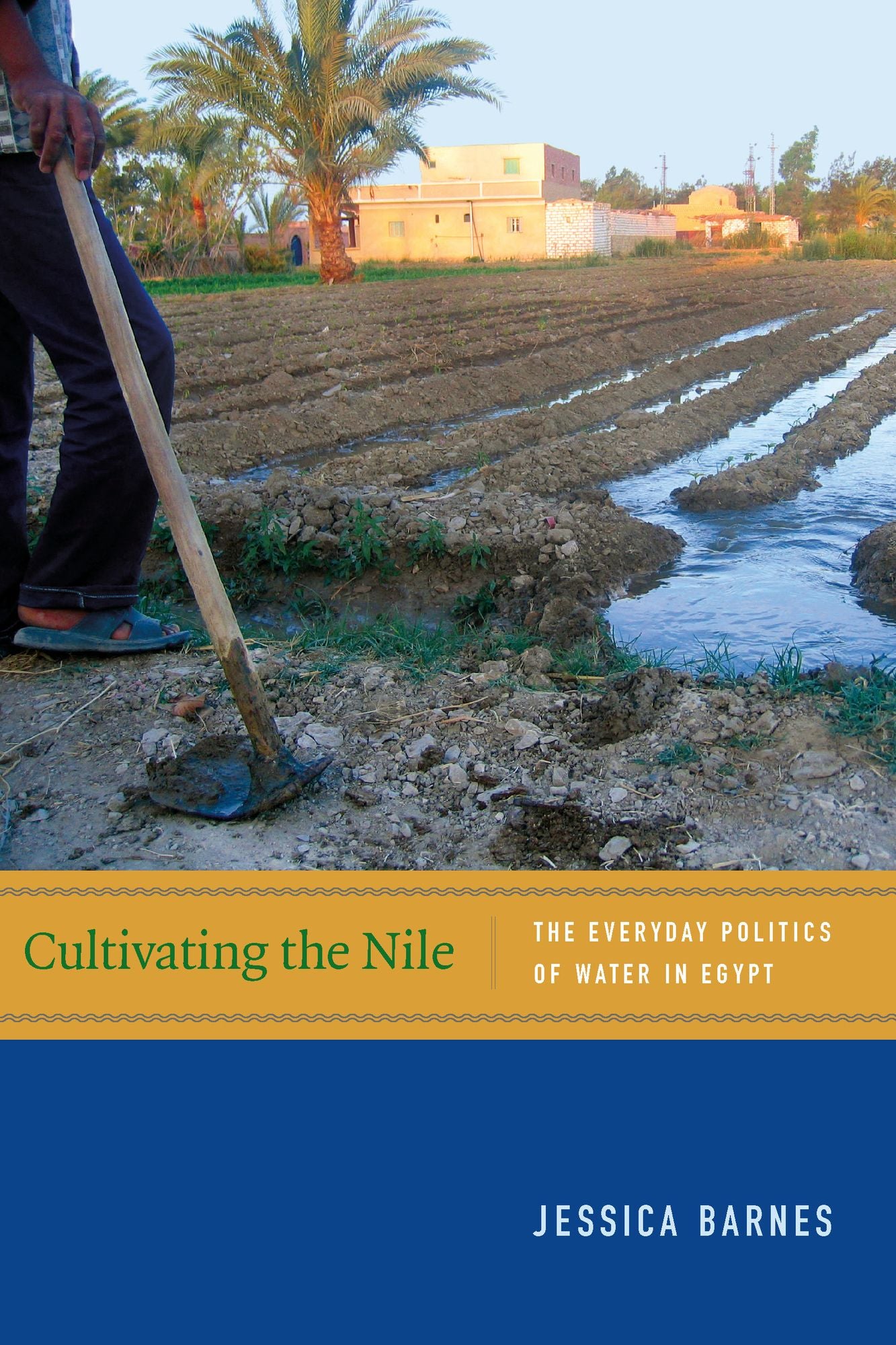 Cultivating the Nile: The Everyday Politics of Water in Egypt