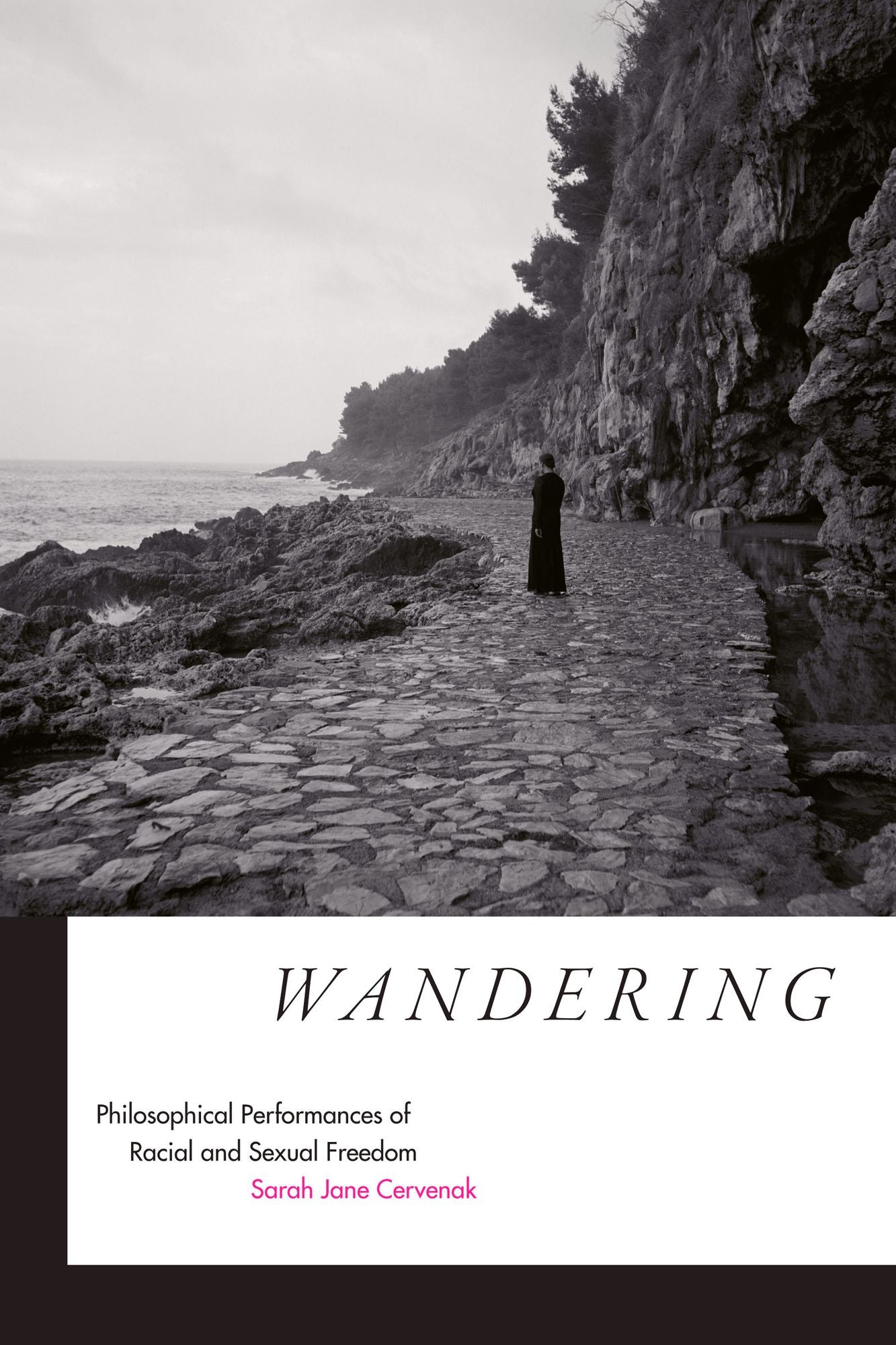 TEST1 Wandering: Philosophical Performances of Racial and Sexual Freedom