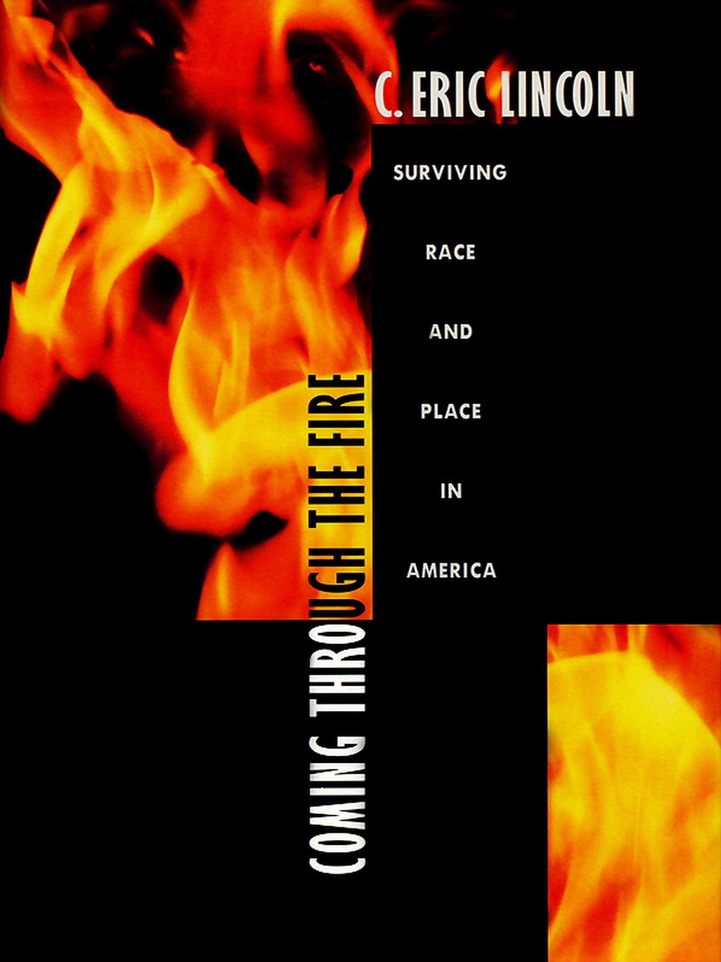 TEST1 Coming through the Fire: Surviving Race and Place in America