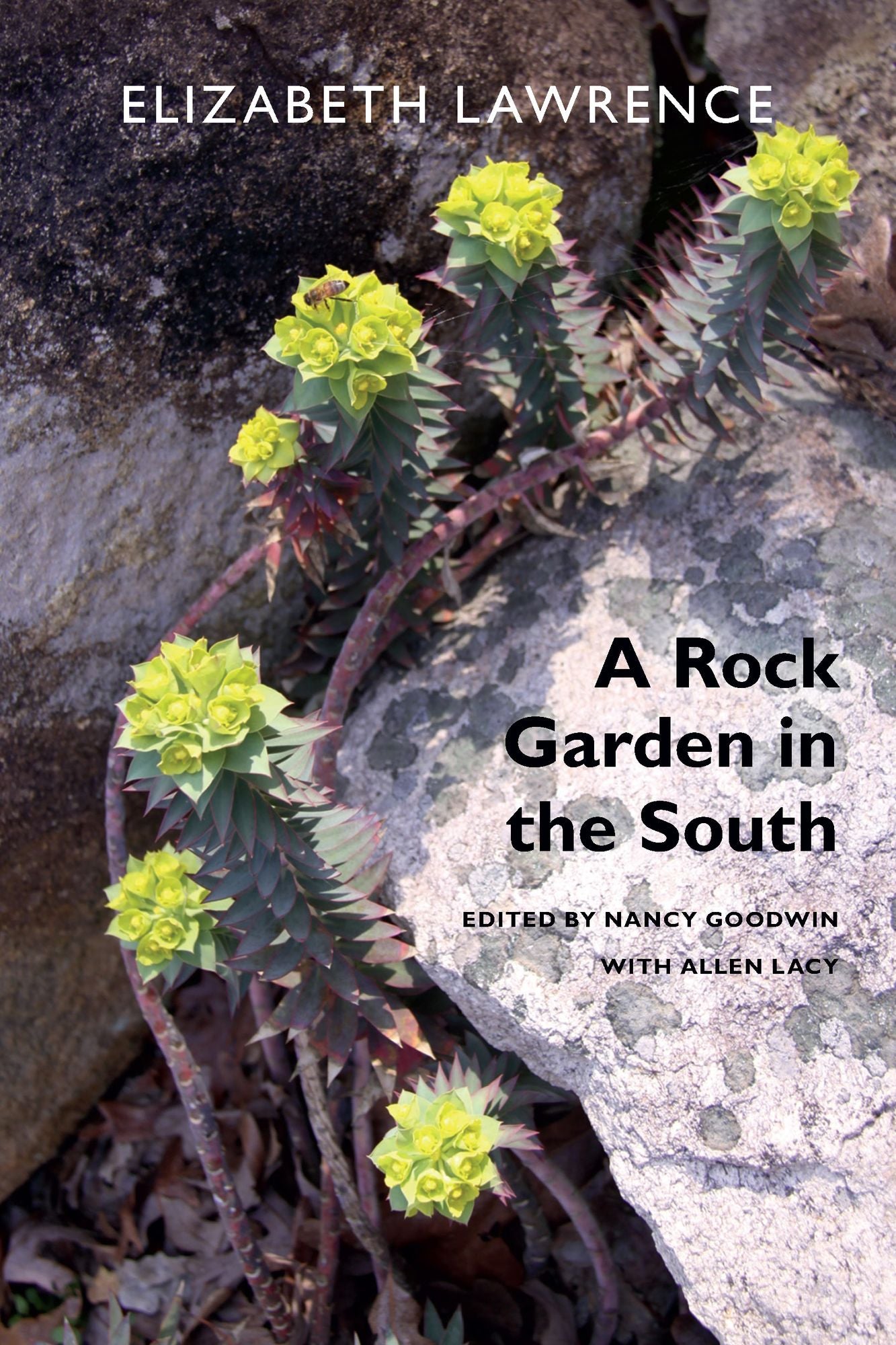 TEST1 A Rock Garden in the South