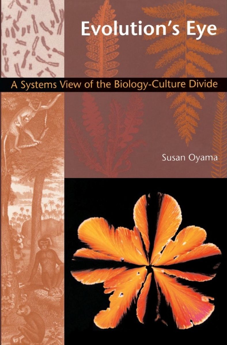 TEST1 Evolution's Eye: A Systems View of the Biology-Culture Divide