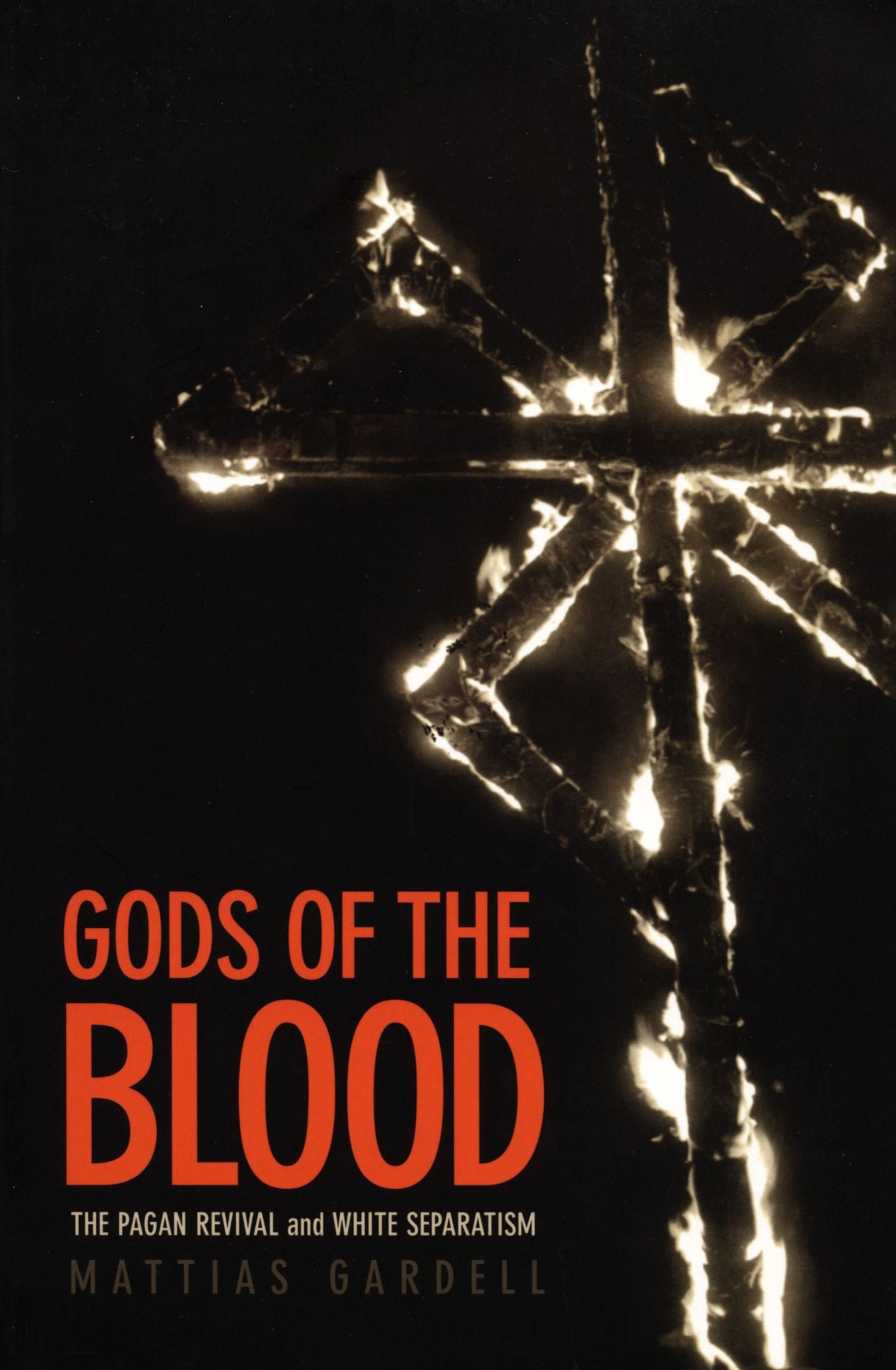 TEST1 Gods of the Blood: The Pagan Revival and White Separatism