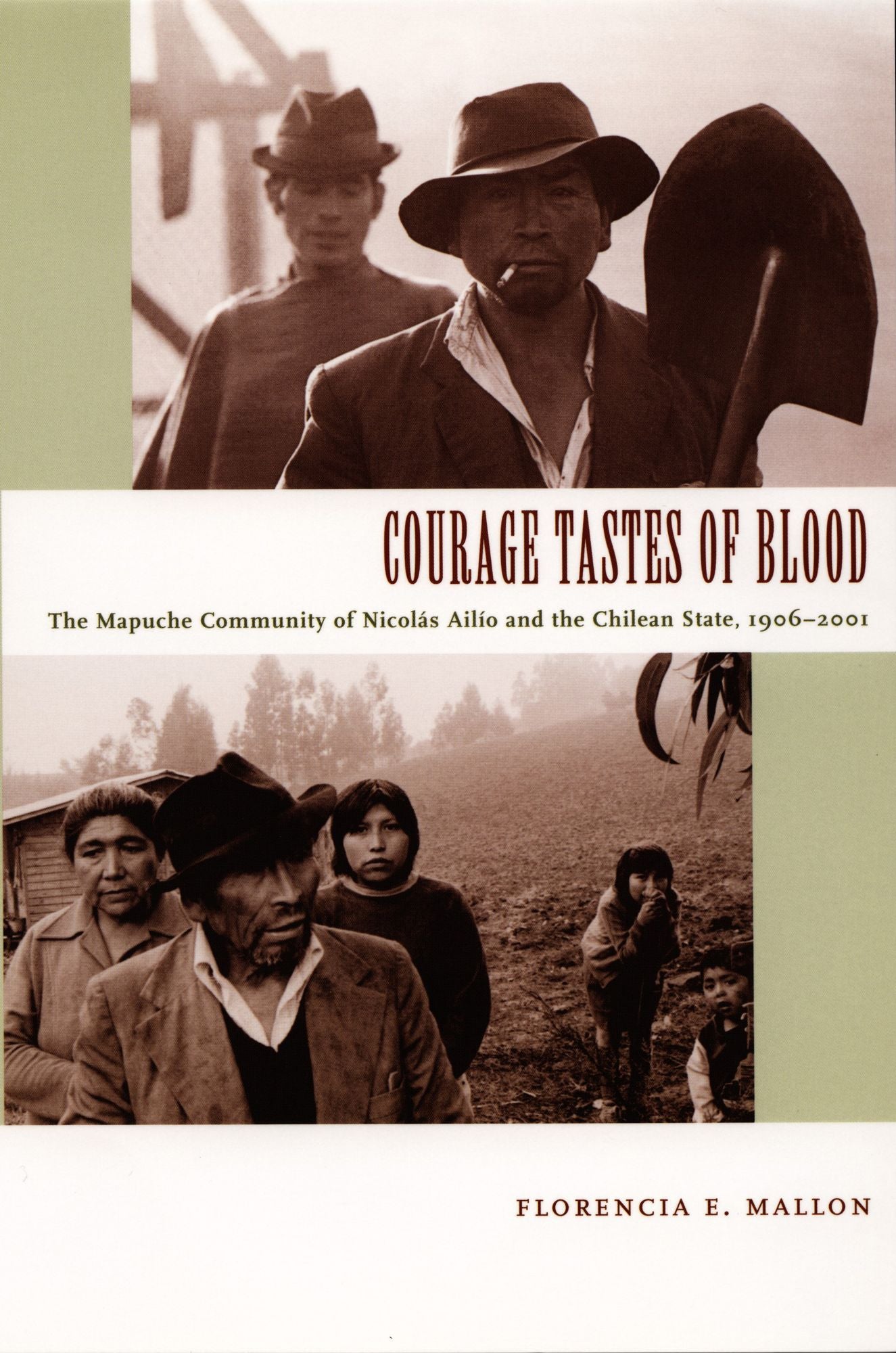 TEST1 Courage Tastes of Blood: The Mapuche Community of Nicolás Ailío and the Chilean State, 1906-2001