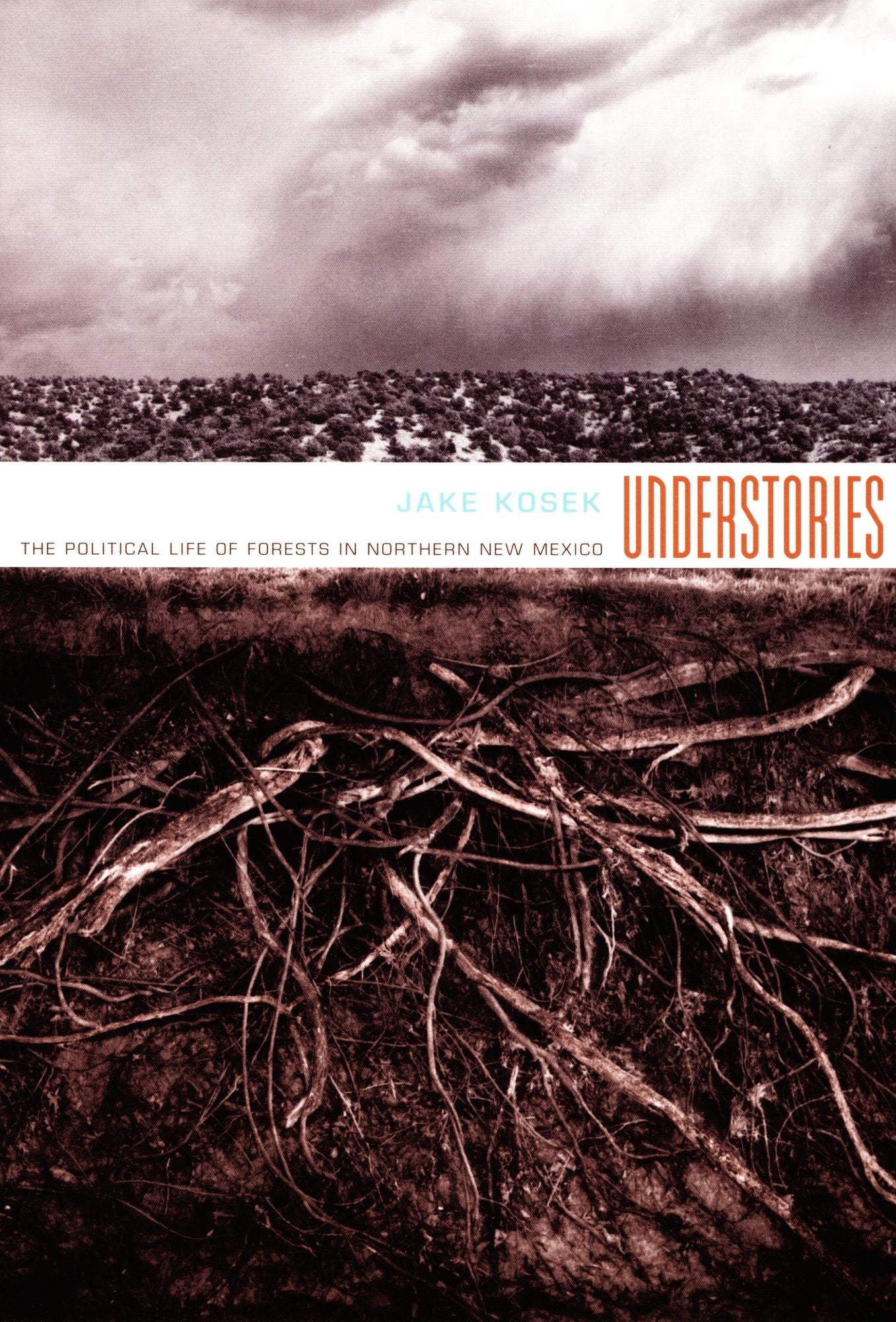 TEST1 Understories: The Political Life of Forests in Northern New Mexico