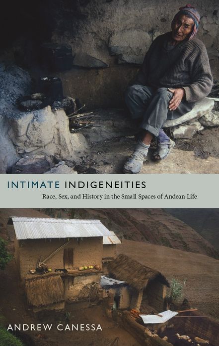 TEST1 Intimate Indigeneities: Race, Sex, and History in the Small Spaces of Andean Life