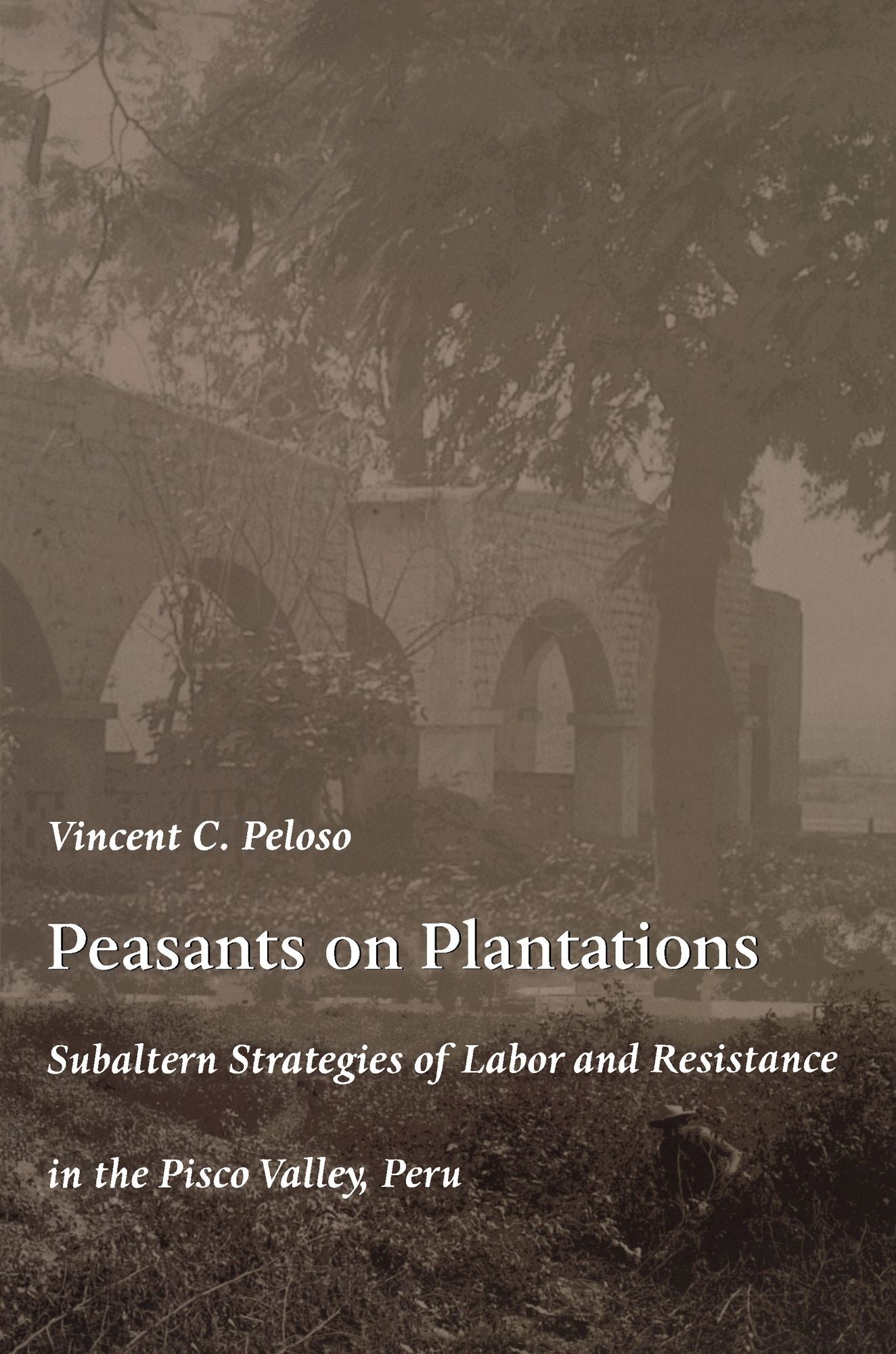 TEST1 Peasants on Plantations: Subaltern Strategies of Labor and Resistance in the Pisco Valley, Peru