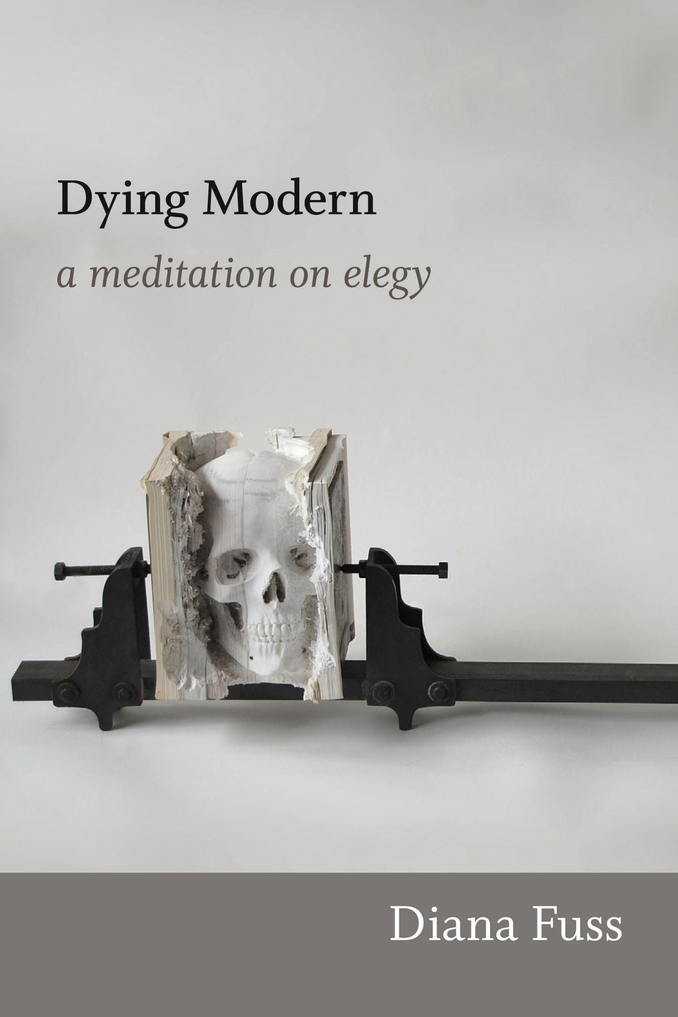 TEST1 Dying Modern: A Meditation on Elegy