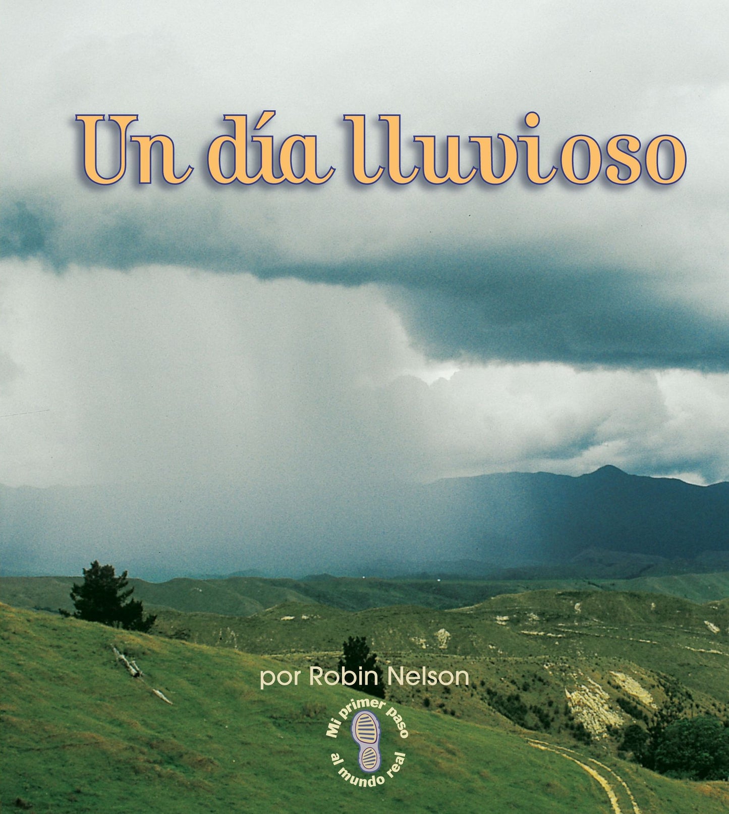 Un Dia Lluvioso