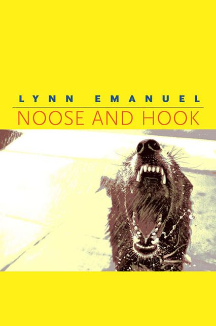 Noose and Hook