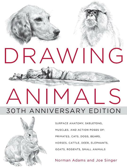 Drawing Animals
