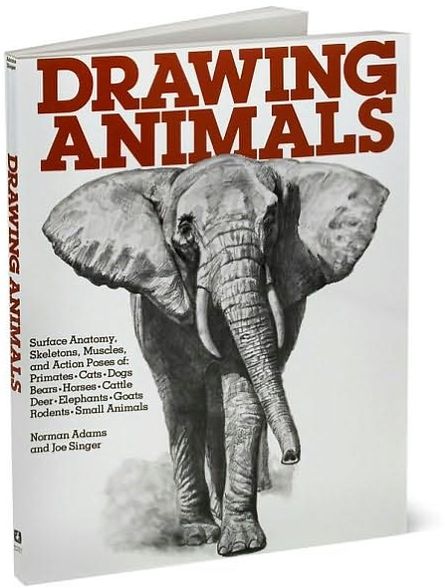 Drawing Animals